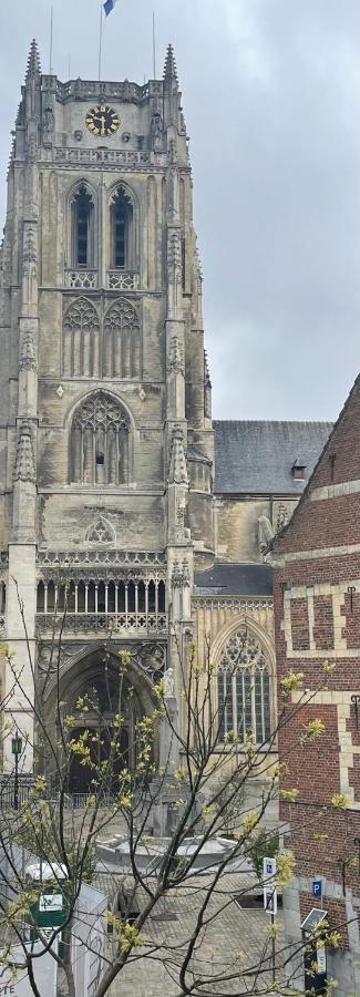 Domus Basil Villa Tongeren Exterior photo